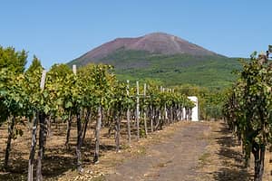 Cantina del Vesuvio