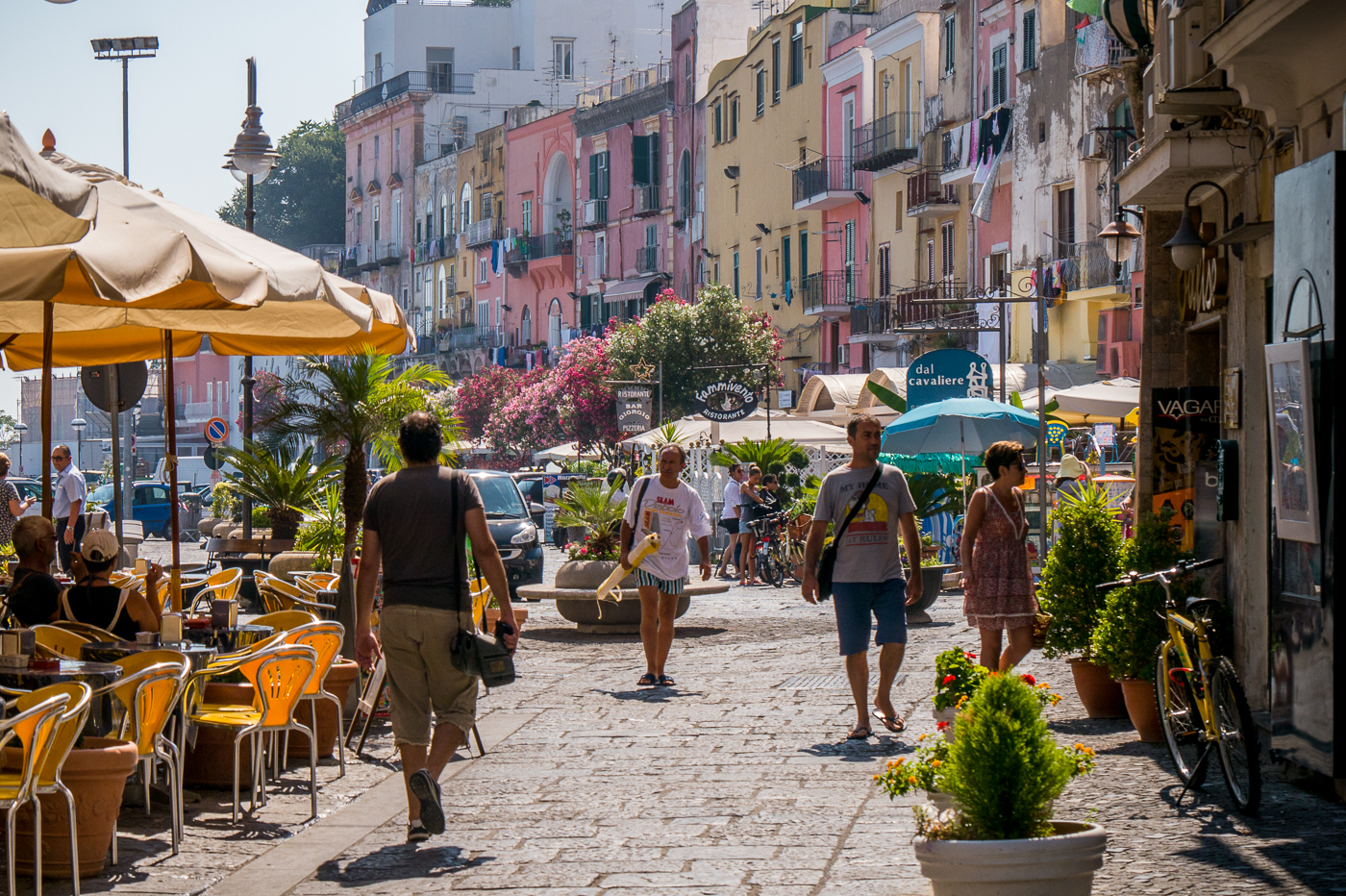 How to get around Procida Prices and Schedules year